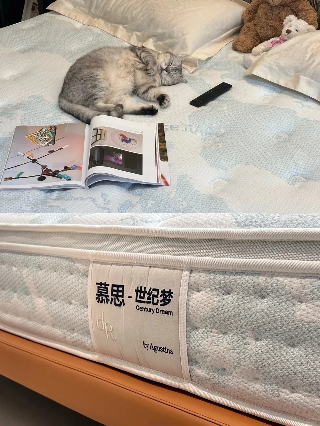 ☺️成年人的奢侈品是：快乐，自由，好睡眠